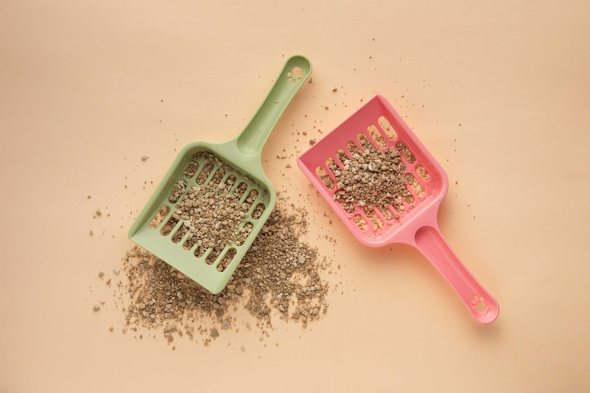 how to clean a litter box properly