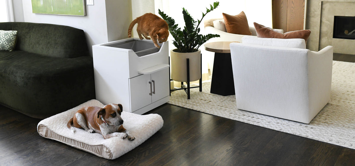 Litter Box Stand