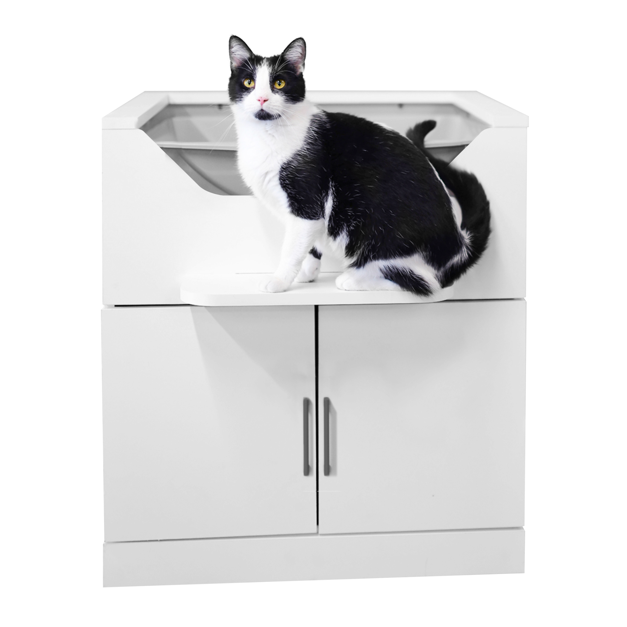 cat litter box.
