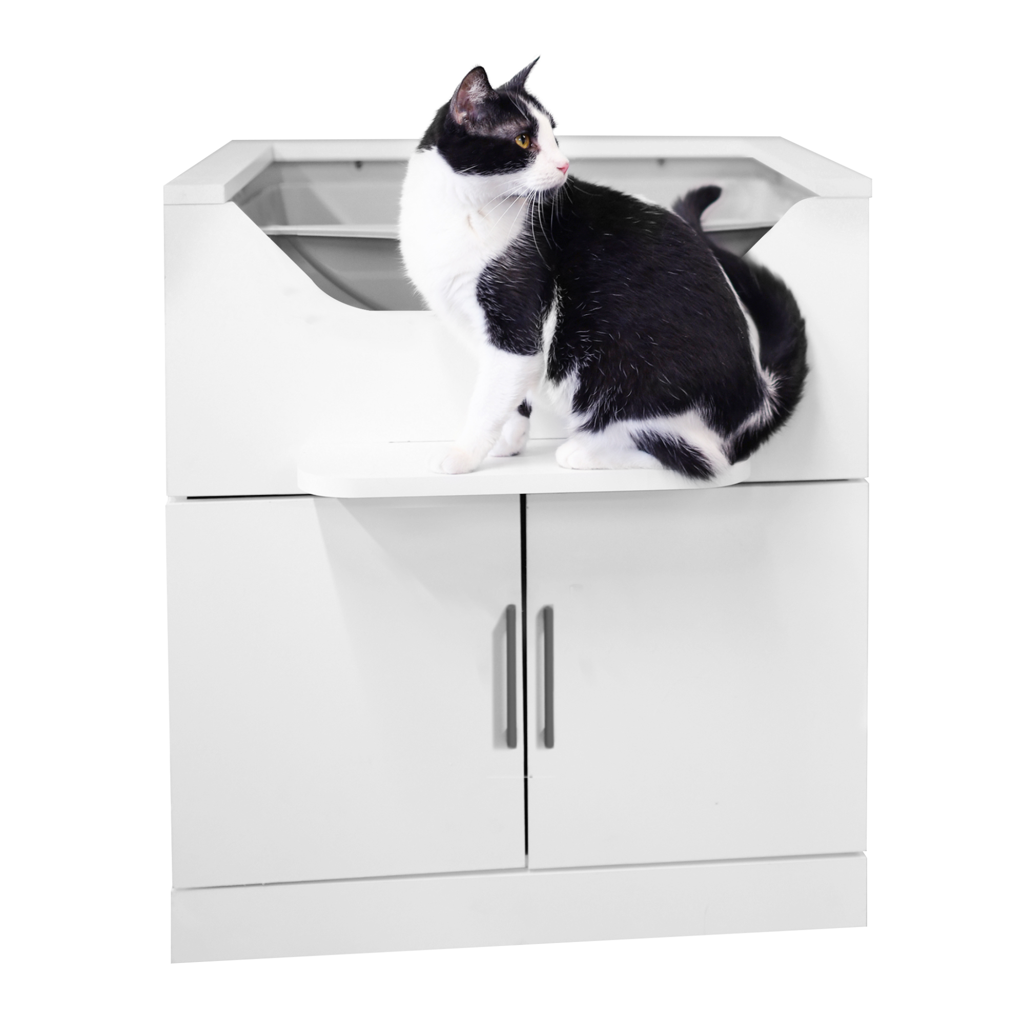 cat litter box.
