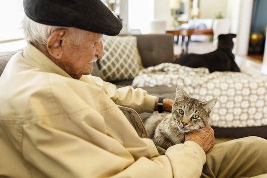 Cat Owners With Mobility Challenges