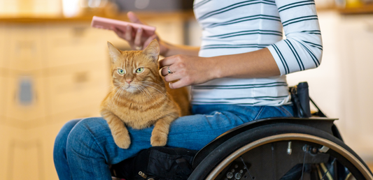 Cat Litter Box for Disabled Cat Owners