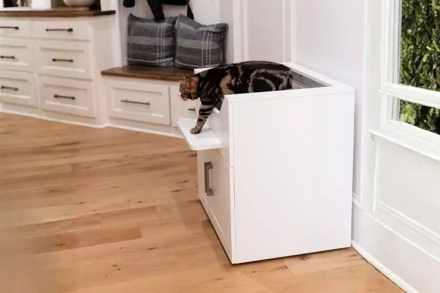 Side-by-side comparison of automatic litter box and raised litter box in a home setting