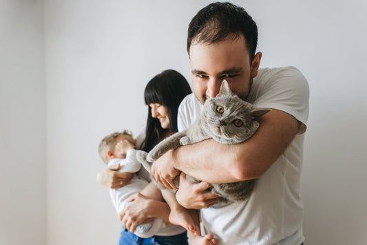 Cat Accessible Tools