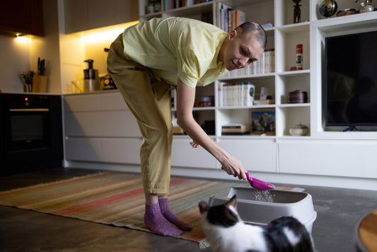 best litter mats for cat owners