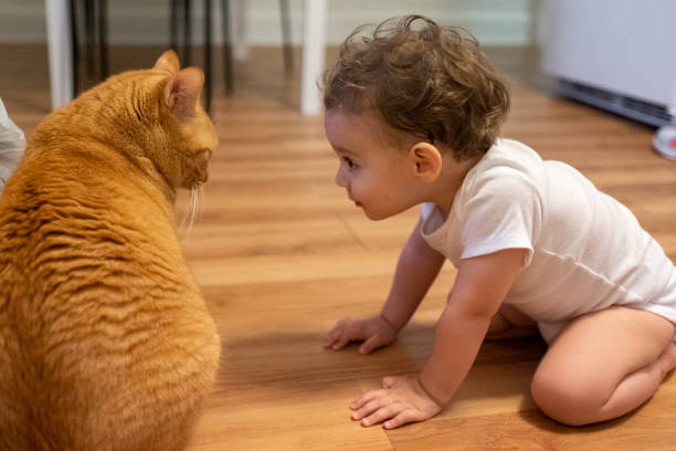 How to Baby Proof Your Litter Box