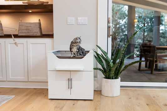 LoftyLoo Raised Litter Box vs Litter Robots