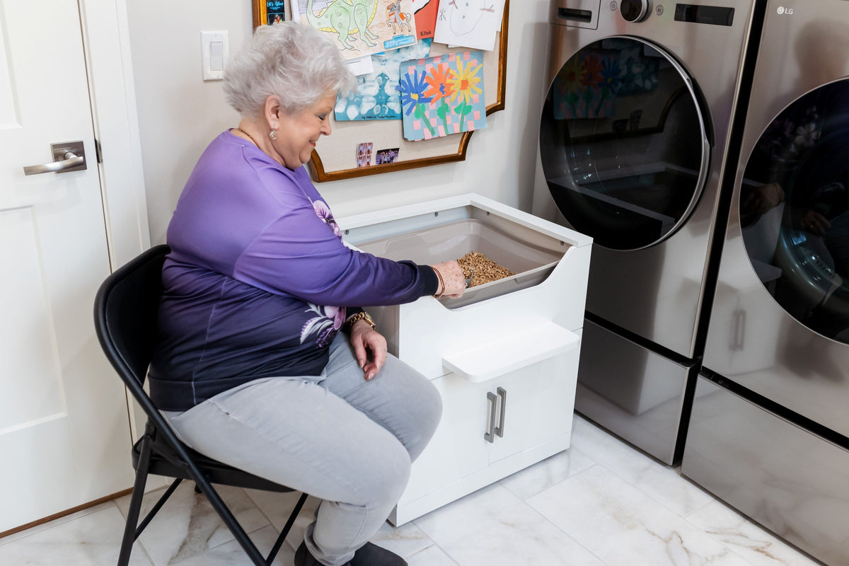 cat litter box for elderly 