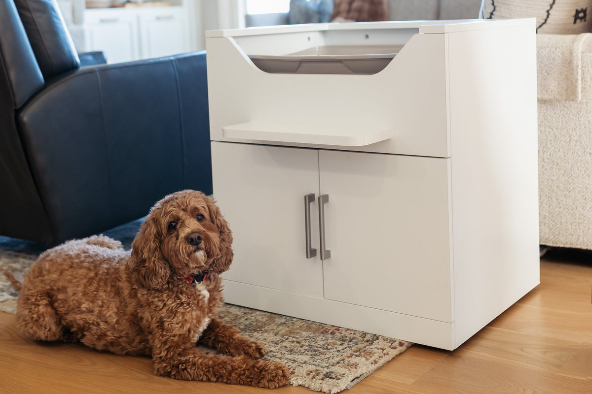 Stop dogs from eating cat poop