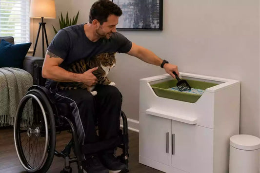 wheelchair user easily scooping an elevated cat litter box