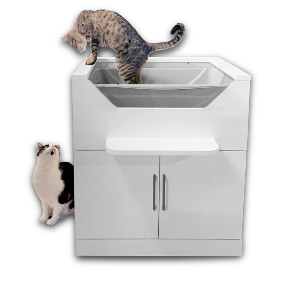 Built for Accessibility  <br> Better for Cats, Easier for You