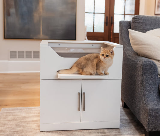 Luxury Cat Litter Box Furniture | Modern Design | LoftyLoo®