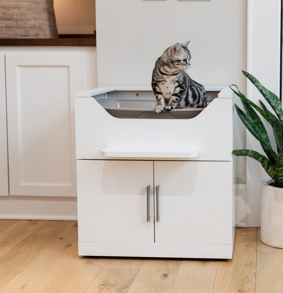 Cat litter box