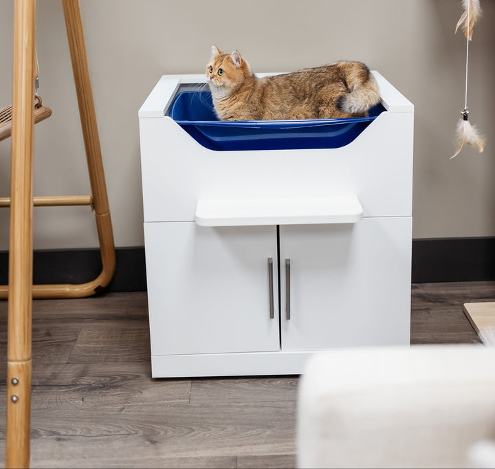 Cat Litter Box for People with Arthritis To Reduce Strain | LoftyLoo®