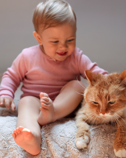 Elevated cat litter box positioned out of reach of children