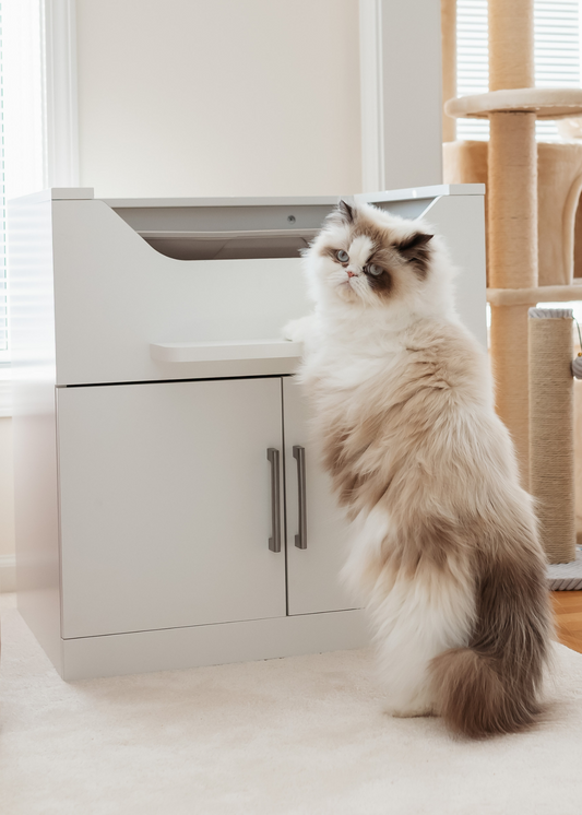 Baby-Proof Cat Litter Box | Keep Kids Out of Litter - Flea Prevention For Pregnant Cat Litter Box