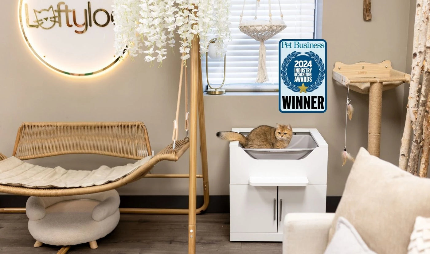 Best cat litter box design for easier cleaning and modern homes