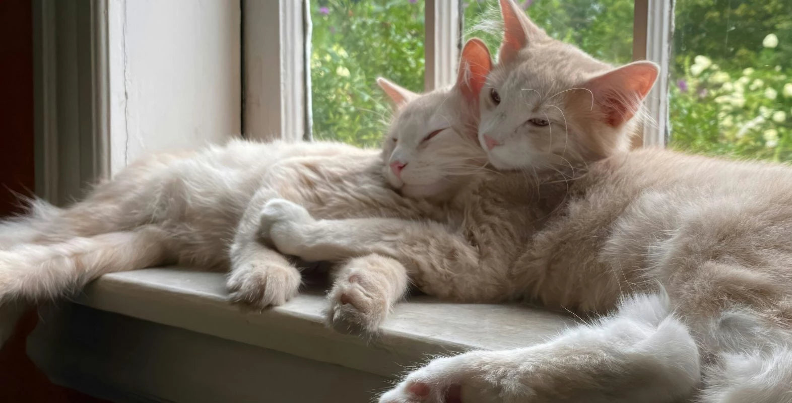 Cat litter box furniture with two cats resting near the elevated litter box cabinet