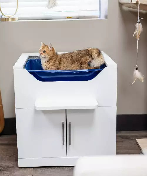 Cat using LoftyLoo dog-proof litter box
