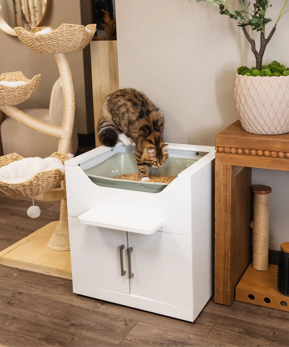 Cat entering a raised litter box near cat tree.