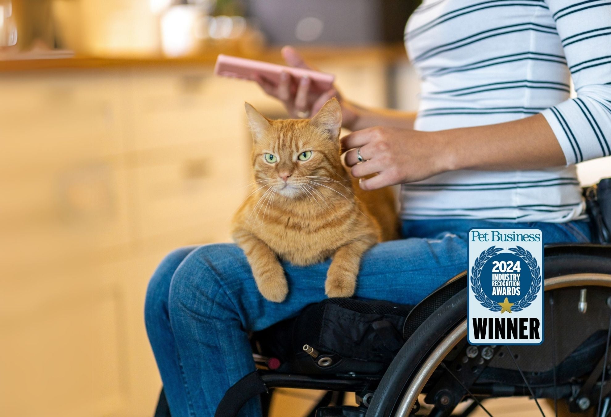 Adaptable cat litter box compatible with ramps or pet stairs