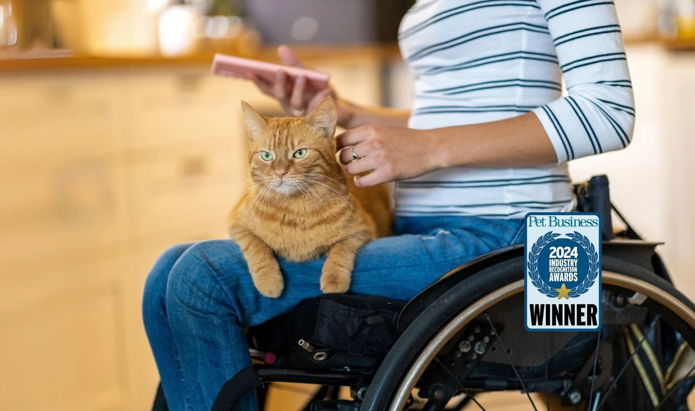 Adaptable cat litter box compatible with ramps or pet stairs