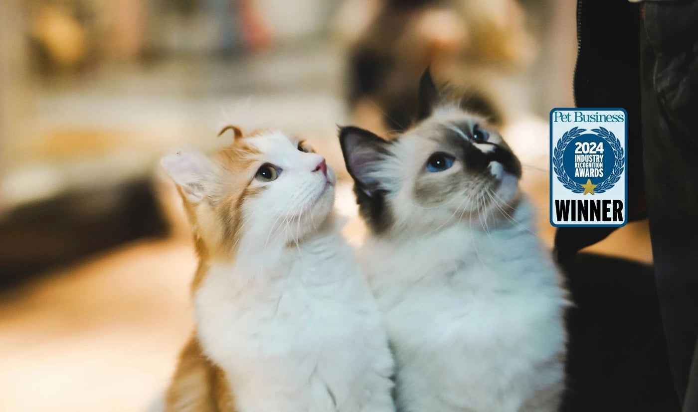 LoftyLoo cat litter box assembly guide and setup instructions