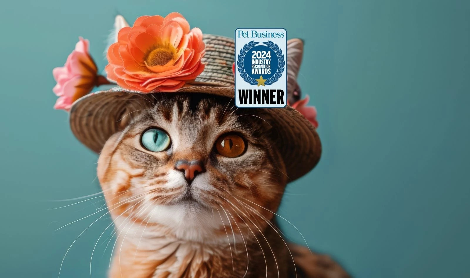 loftyloo-cat-litter-box-blog-mobile