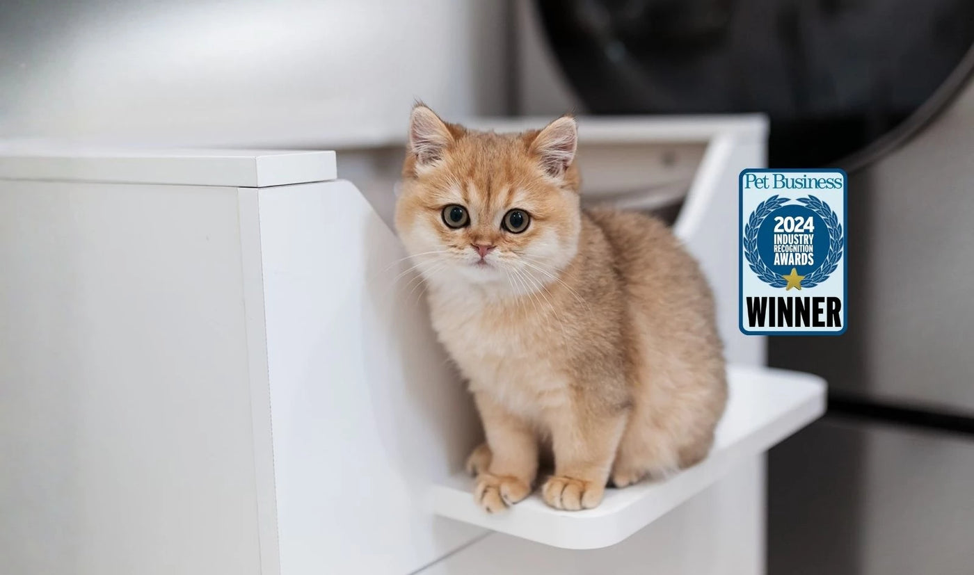 Customer reviews of the LoftyLoo cat litter box from real cat owners