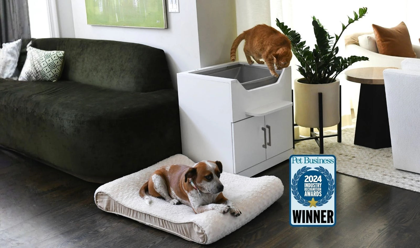 Frequently asked questions about the LoftyLoo cat litter box
