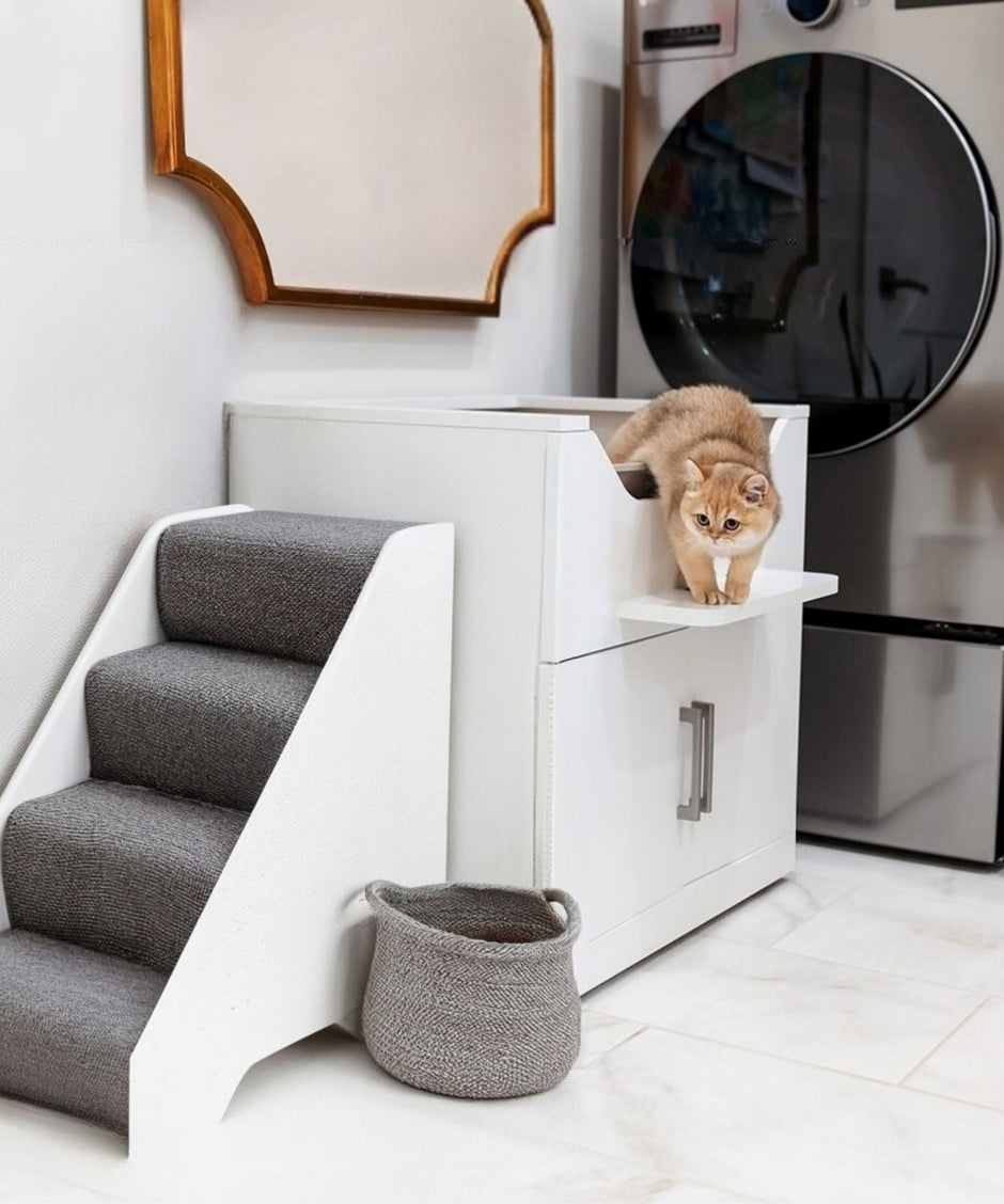 Cat exiting elevated cat litter box cabinet with pet stairs nearby