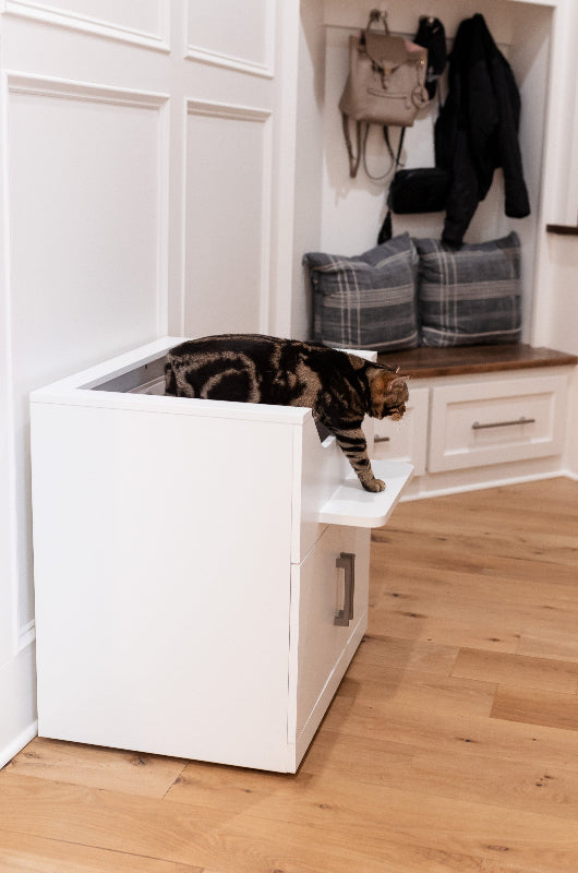 Side view of a cat climbing onto cat litter box furniture