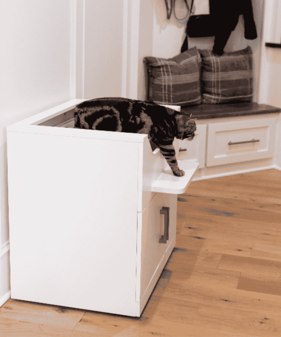 Side view of cat stepping down from elevated cat litter box furniture