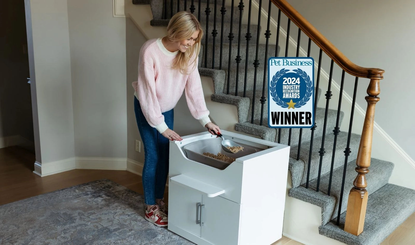 Shop LoftyLoo cat litter box by need including raised accessible and easy to clean designs