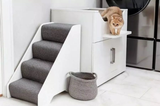 Cat using pet stairs to access a LoftyLoo litter box comfortably