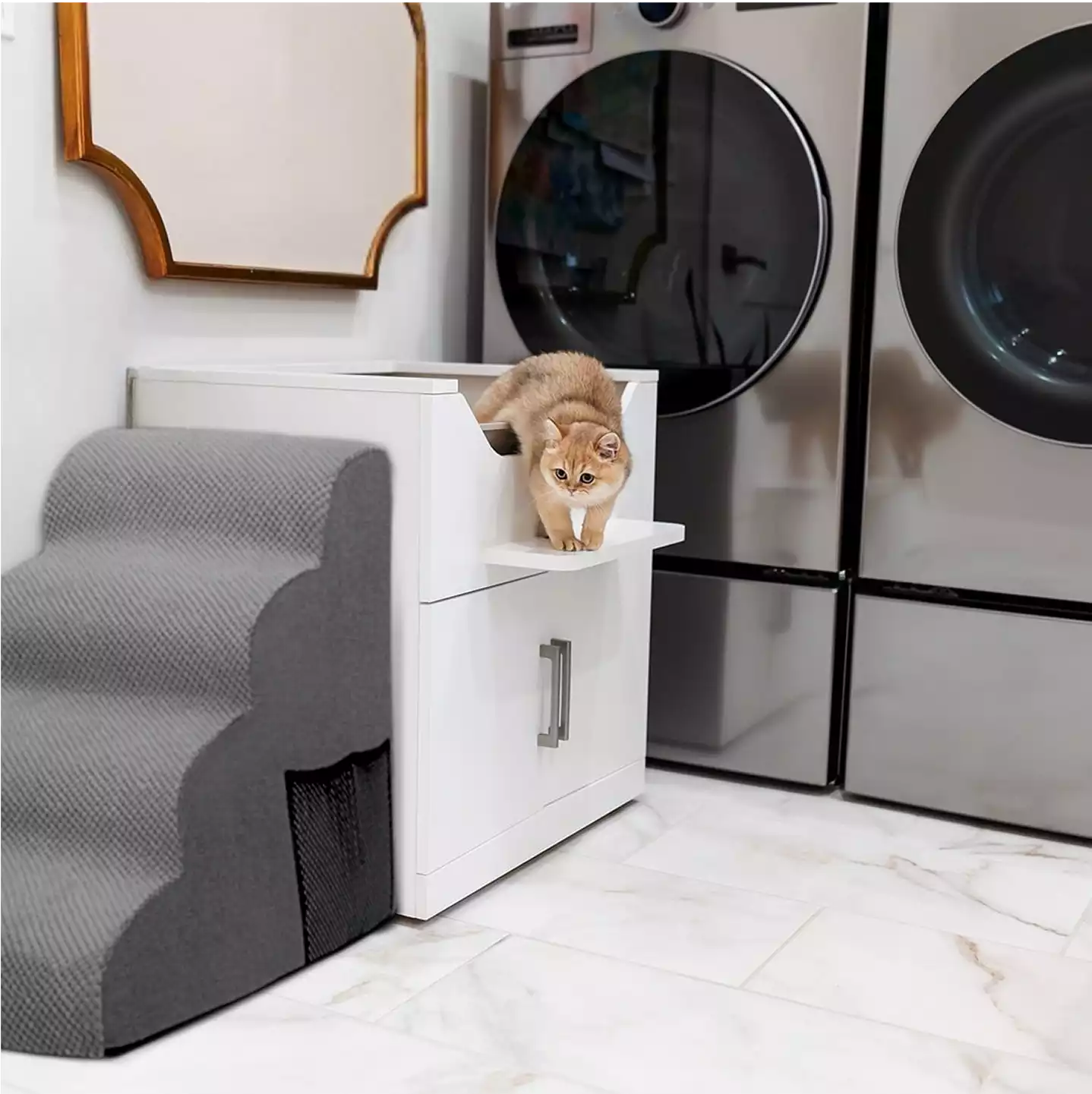Cat walking on front of raised litter box with stairs