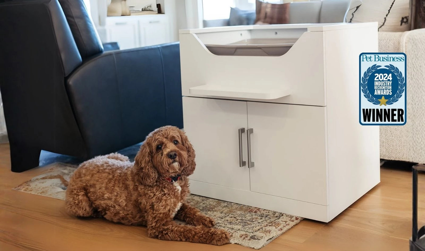 Dog proof cat litter box elevated above the floor