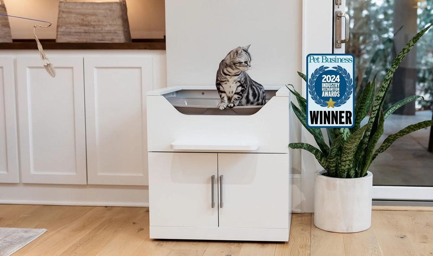 Modern cat litter box cabinet designed for contemporary homes
