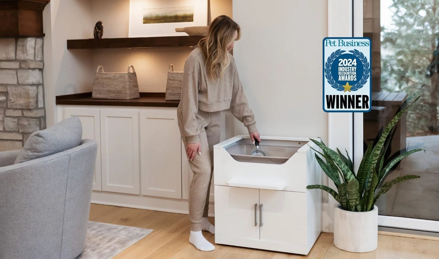 No bend cat litter box designed for easier cleaning while standing