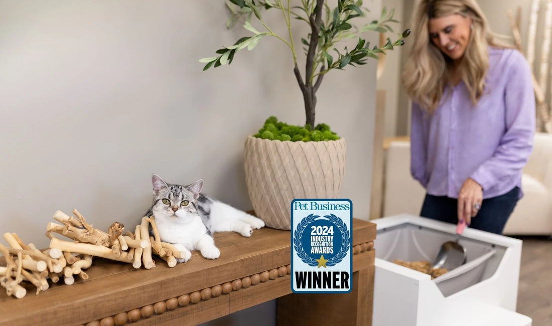 LoftyLoo raised cat litter box cabinet for modern homes