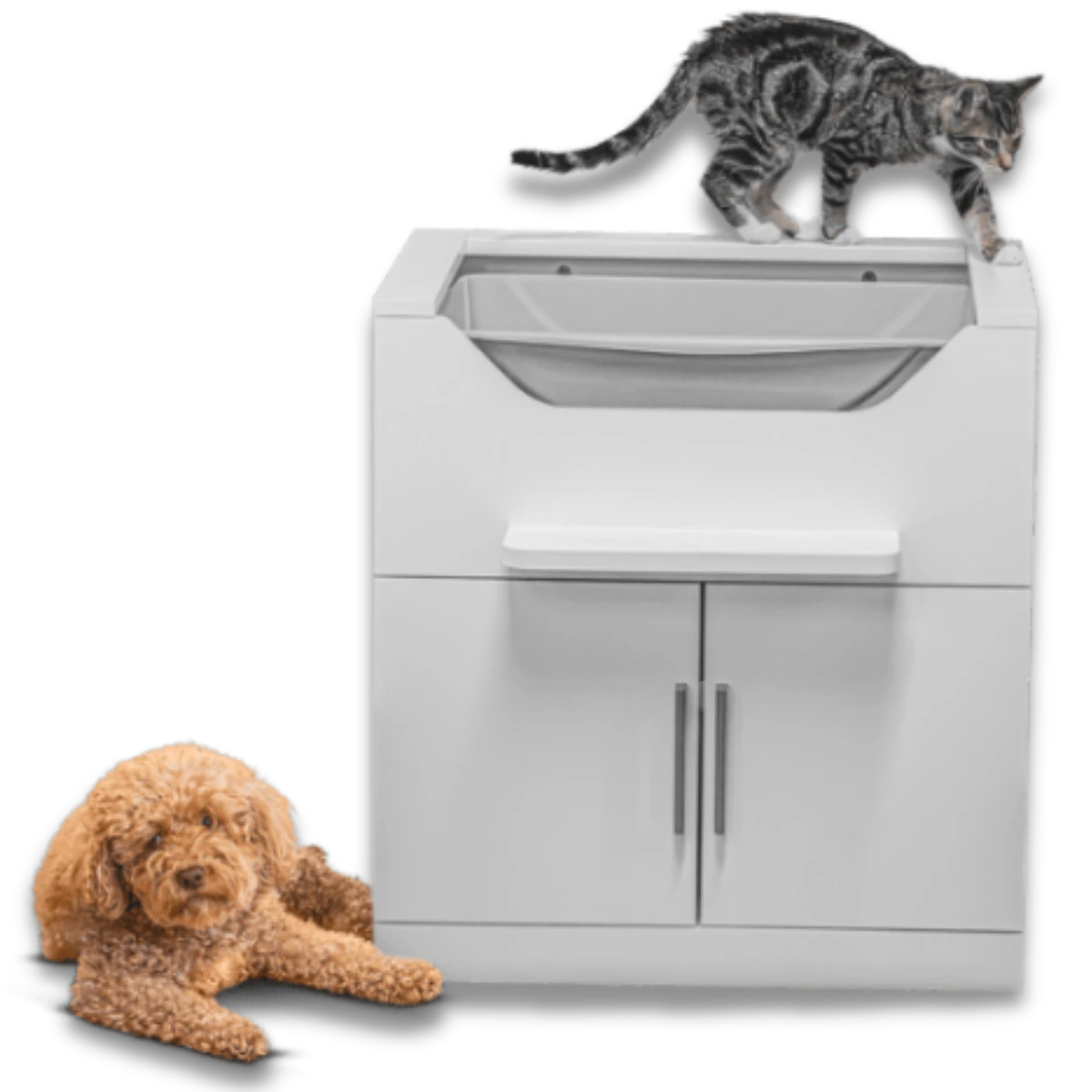 Dog-Proof & No-Nonsense  <br> Cleaner, Safer Cat Care