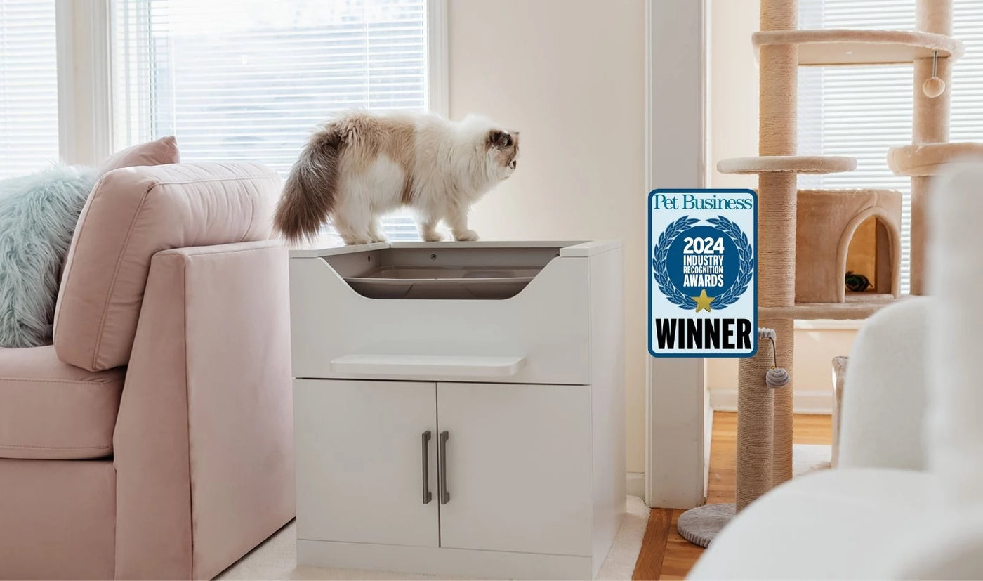 Raised cat litter box positioned off the floor for easier access