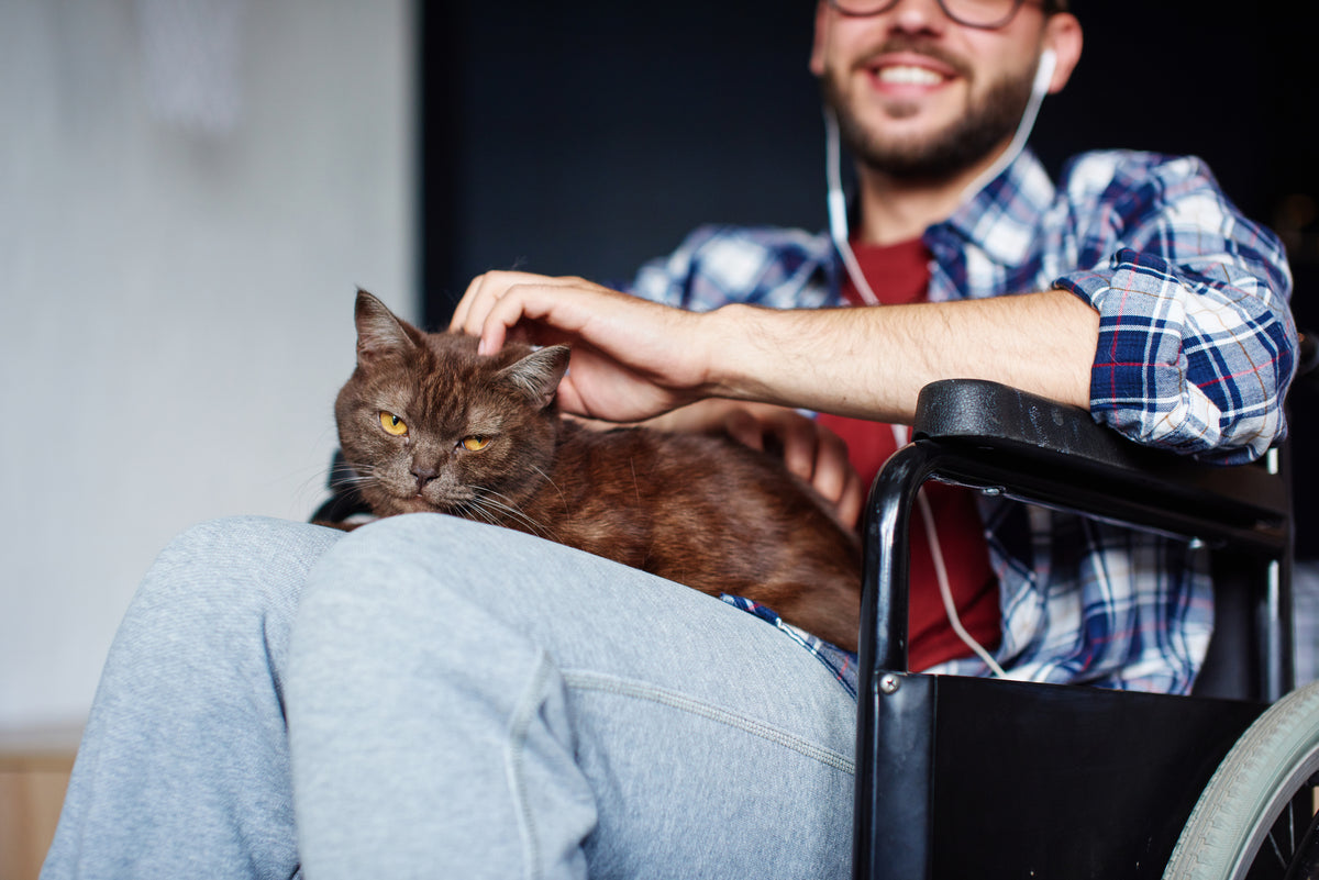 Man sitting in wheelchair with his cat near LoftyLoo raised litter box