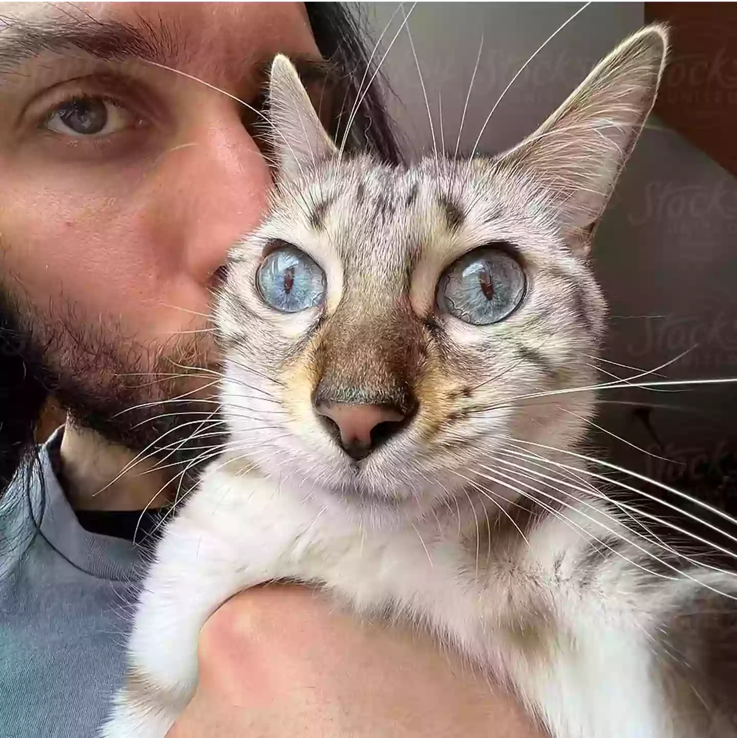 Man kissing cat in LoftyLoo Cat Lounge