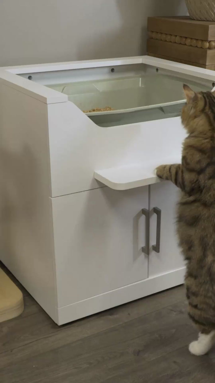 LoftyLoo founder explains why raised cat litter boxes make sense for cats' safety and security.