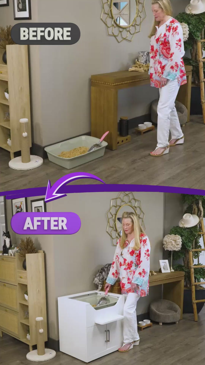 Woman cleaning a floor level litter box vs elevated litter box