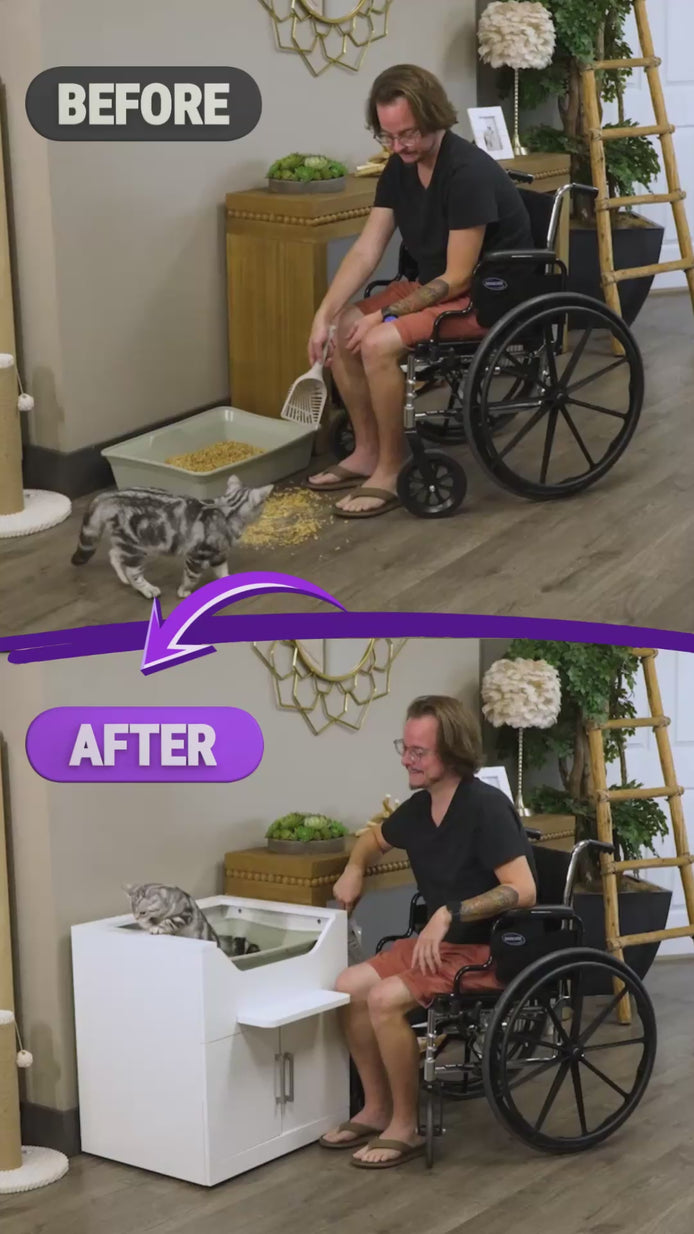 Cat owner in wheelchair showing easy to clean, accessible, cat litter box vs floor-level, which is very hard on his body.