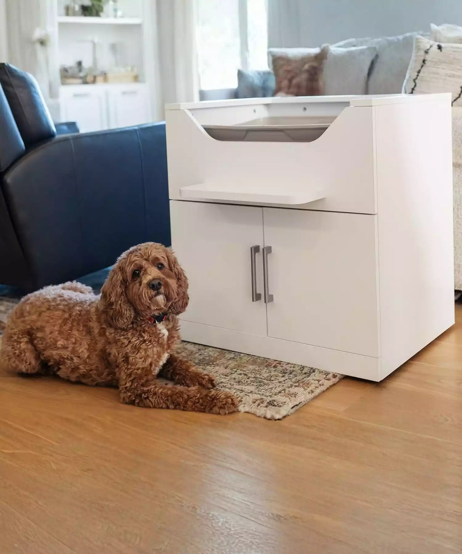 Raised litter box with dog lying below