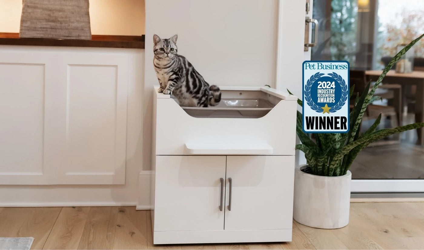LoftyLoo elevated cat litter box design improving daily cat care